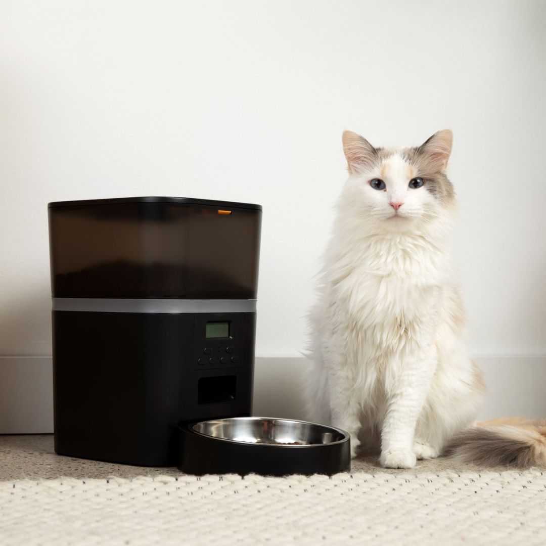 The KittyFeeder™ - Automatic Cat Feeder