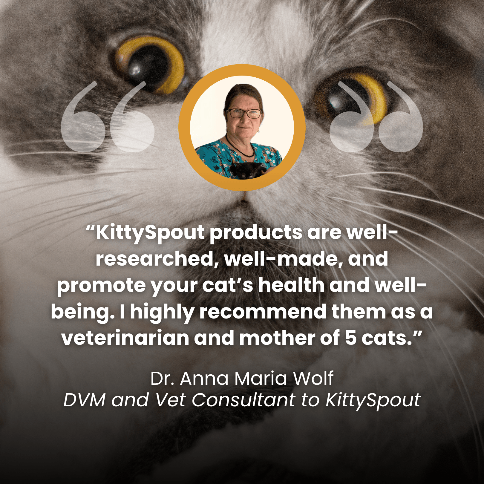 The KittySpout™ - Health & Happiness Cat Kit