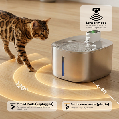 The KittySpout™ - Wireless Fountain