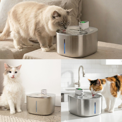 The KittySpout™ - Wireless Fountain