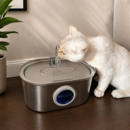 Pawira™ Cat Water Fountain