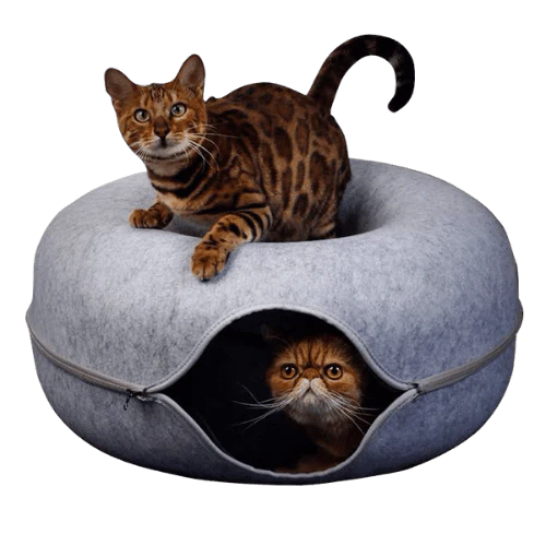 Gift Peekaboo Cat Cave