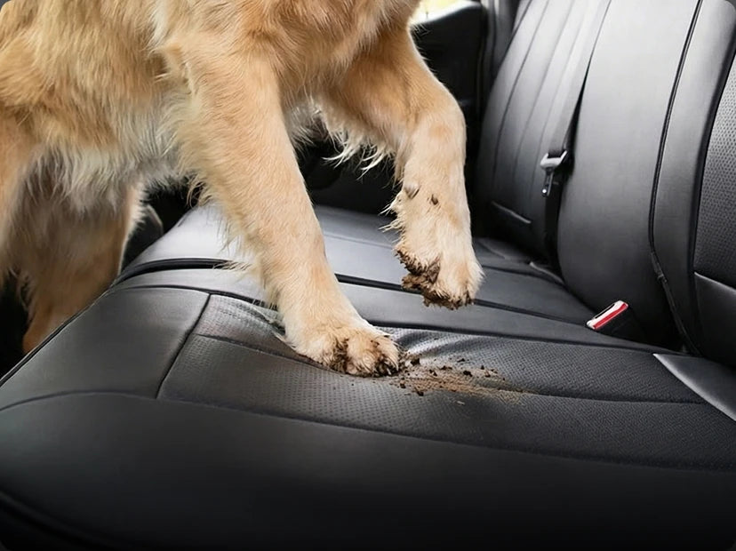 Scratches & Wear